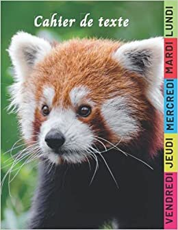 Cahier de Texte Panda: Agenda Scolaire Panda Journalier | école Primaire Collège Lycée étudiant indir