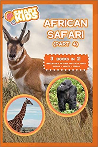 African Safari 4 indir
