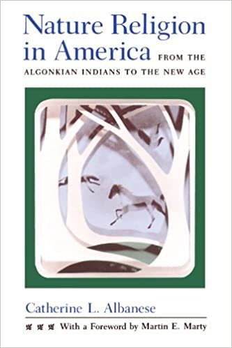 Amerika'da Doga Dini: Algonkian Kizilderililerinden Yeni Cag'a (Chicago Amerikan Din Tarihi)