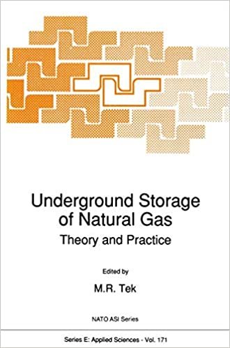Underground Storage of Natural Gas: Theory and Practice (Nato Science Series E: (171), Band 171)