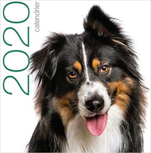 Calendrier mural 2020 - Chiens indir