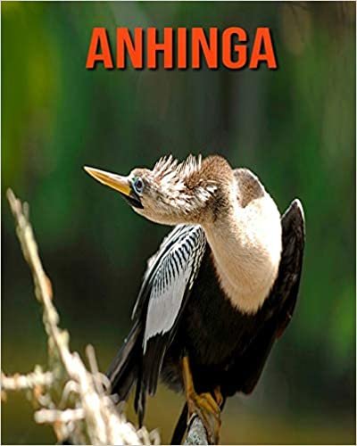 Anhinga: Amazing Photos & Fun Facts Book About Anhinga For Kids