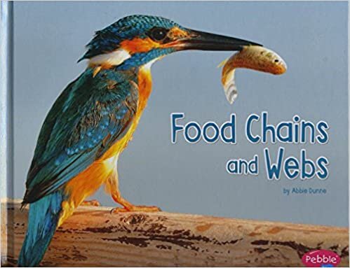 Food Chains and Webs (Life Science)