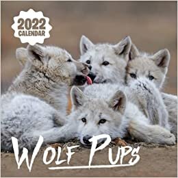 Wolf Pups 2022 Calendar: Cute Wild Ainimals Wolves Squared Monthly Calendar Mini Planner To Do List 12 Months 2022 bonus September to December 2021 | Classroom, Home, Office