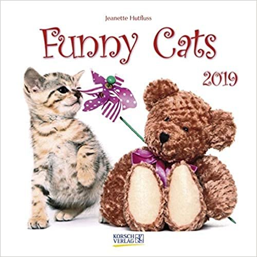 Funny Cats 2019 Broschürenkalender indir