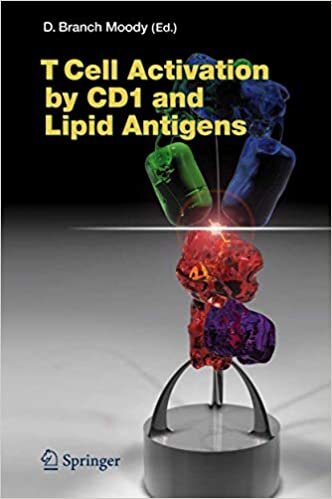 T Cell Activation by CD1 and Lipid Antigens (Current Topics in Microbiology and Immunology, Band 314) indir