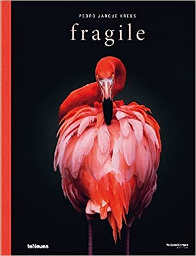 Fragile (Photography) indir
