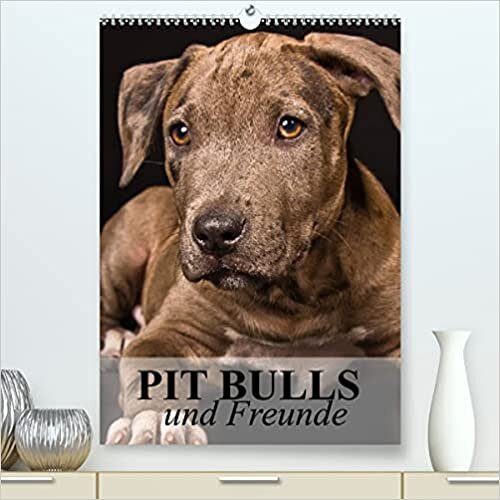 Pit Bulls und Freunde (Premium, hochwertiger DIN A2 Wandkalender 2022, Kunstdruck in Hochglanz): Starke Hunde zwischen Wahrheit und Hetze. (Monatskalender, 14 Seiten ) (CALVENDO Tiere)