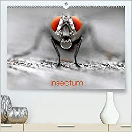 Insectum (Premium, hochwertiger DIN A2 Wandkalender 2021, Kunstdruck in Hochglanz): Le monde fantastique des insectes (Calendrier mensuel, 14 Pages ) (CALVENDO Nature)
