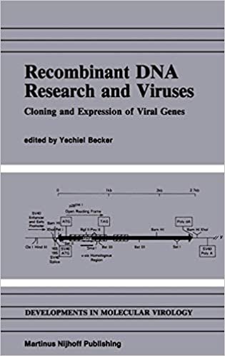 Recombinant DNA Research and Viruses: Cloning and Expression of Viral Genes (Developments in Molecular Virology)