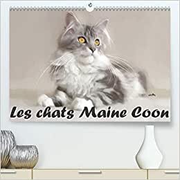Les chats Maine Coon (Premium, hochwertiger DIN A2 Wandkalender 2021, Kunstdruck in Hochglanz): Série de 12 tableaux pour mettre en valeur la beauté ... mensuel, 14 Pages ) (CALVENDO Animaux)