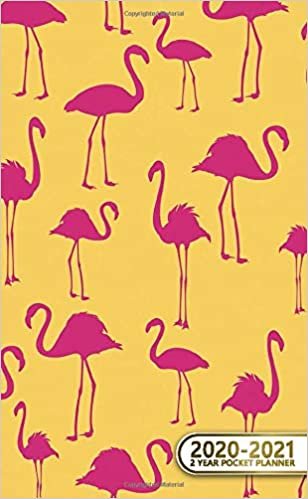 2020-2021 2 Year Pocket Planner: Cute Two-Year (24 Months) Monthly Pocket Planner & Agenda | 2 Year Organizer with Phone Book, Password Log & Notebook | Nifty Tropical Flamingo Pattern indir