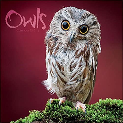 CAL 2015-OWLS (Square)