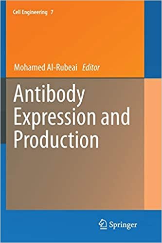 Antibody Expression and Production (Cell Engineering)