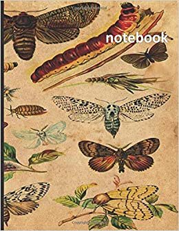 Notebook: 8.5 x 11, Blank, Unlined, 100 pages, Journal, Diary, Composition Book, Butterfly