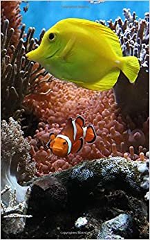 Notebook: Anemone Fish Underwater Clown Fish Aquarium Ocean Reef