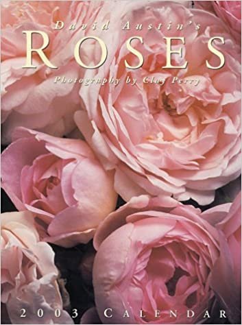 David Austin's Roses 2003 Calendar indir