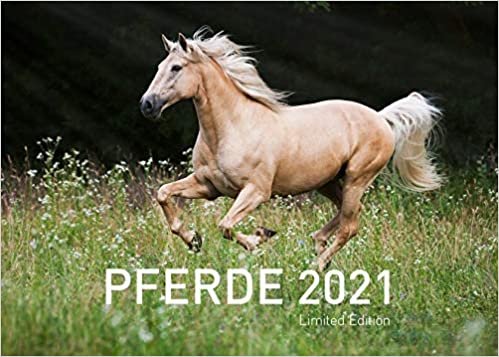 360° Pferde Exklusivkalender 2021: Limited Edition (70 x 50 cm) (360° Exklusivkalender 2021 / Limited Edition (70 x 50 cm))