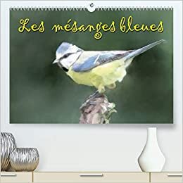 Les mésanges bleues (Premium, hochwertiger DIN A2 Wandkalender 2021, Kunstdruck in Hochglanz): Série de pastels de mésanges bleues (Calendrier mensuel, 14 Pages ) (CALVENDO Animaux)
