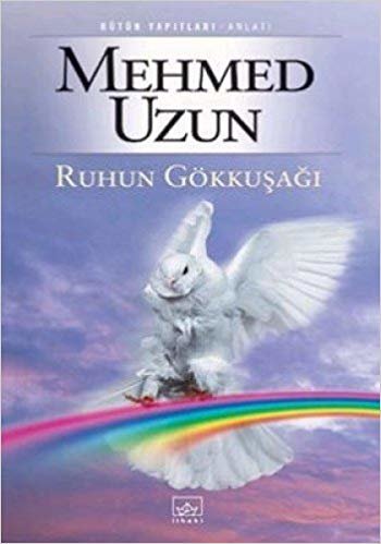 RUHUN GÖKKUŞAĞI