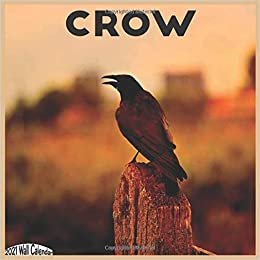 Crow 2021 Wall Calendar: Official Crow Birds Calendar 2021