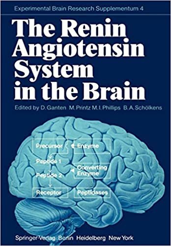 The Renin Angiotensin System in the Brain: A Model for the Synthesis of Peptides in the Brain (Experimental Brain Research Series)