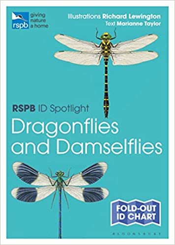 Rspb Id Spotlight - Dragonflies and Damselflies indir