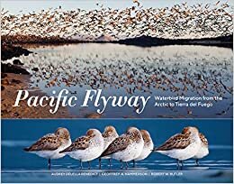 Pacific Flyway: Waterbird Migration from the Arctic to Tierra del Fuego indir