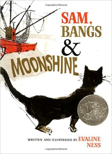 Sam, Bangs & Moonshine (Owlet Book) indir