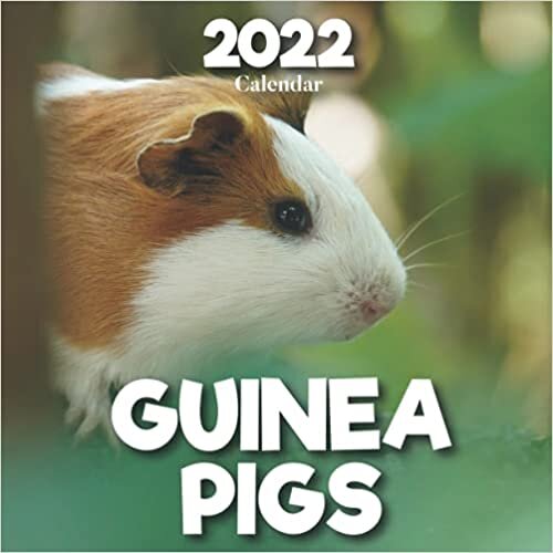 Guinea Pigs Calendar 2022: A Monthly and Weekly Calendar 2022 - 12 months - With Guinea Pigs Pictures,to Write in Appointment, Birthday, Events Cute Gift Ideas For Men, Women, Girls, Boys in Bulk