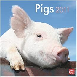 Pigs 2011