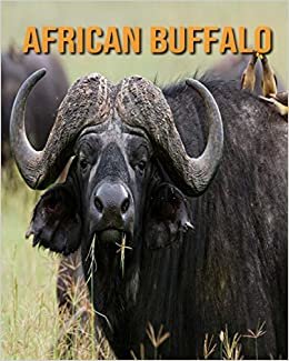 African buffalo: Fun Learning Facts About African buffalo