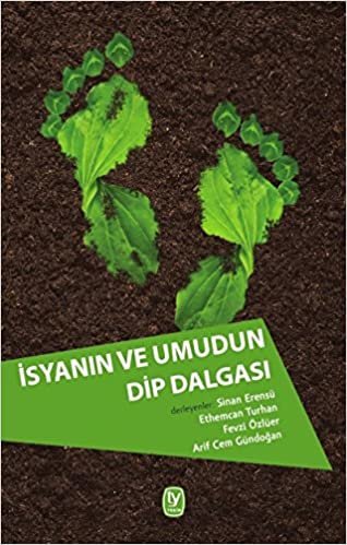 İsyanın ve Umudun Dip Dalgası: Günümüz Türkiye’sinden Politik Ekoloji Tartışmaları
