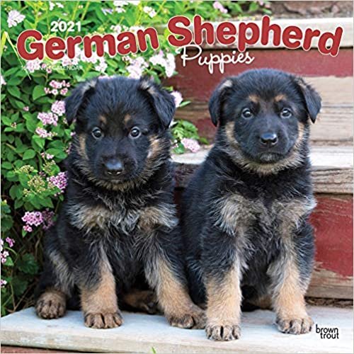 German Shepherd Puppies - Deutsche Schäferhunde - Welpen 2021 - 18-Monatskalender mit freier DogDays-App: Original BrownTrout-Kalender [Mehrsprachig] [Kalender]