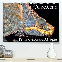 Caméléons - Petits dragons d'Afrique. (Premium, hochwertiger DIN A2 Wandkalender 2021, Kunstdruck in Hochglanz): Douze portraits extraordinaires des ... mensuel, 14 Pages ) (CALVENDO Animaux)