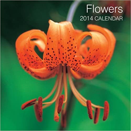 Flowers 2014 Calendar (Calendars) indir