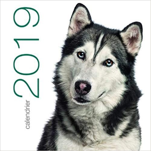 Calendrier mural 2019 Chiens