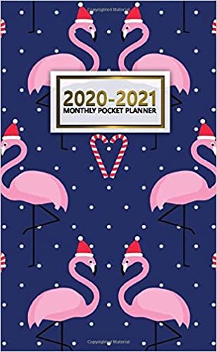 2020-2021 Monthly Pocket Planner: 2 Year Pocket Monthly Organizer & Calendar | Cute Two-Year (24 months) Agenda With Phone Book, Password Log and Notebook | Pretty Christmas & Flamingo Pattern indir