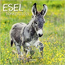 Esel 2021: Broschürenkalender mit Ferienterminen und Bildern von süßen Eseln indir