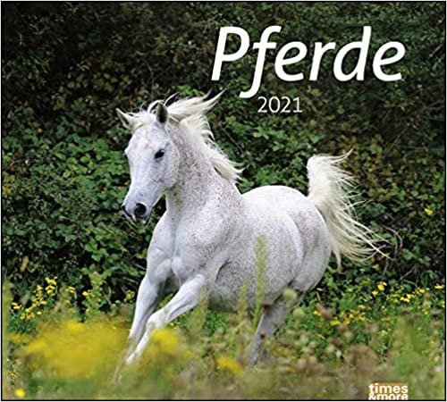 times&more Pferde Bildkalender Kalender 2021