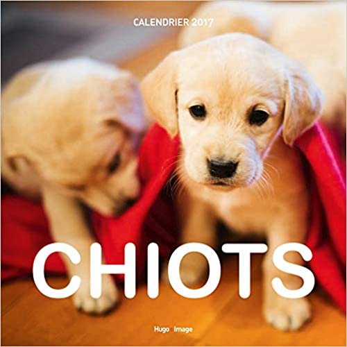 Calendrier mural Chiots 2017