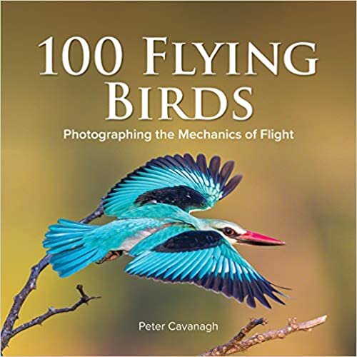100 Flying Birds: Photographing the Mechanics of Flight indir