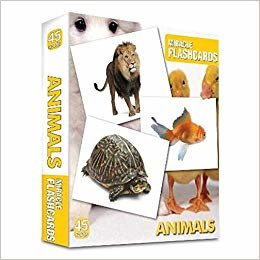 Miracle FlashCards Animals 45 Cards