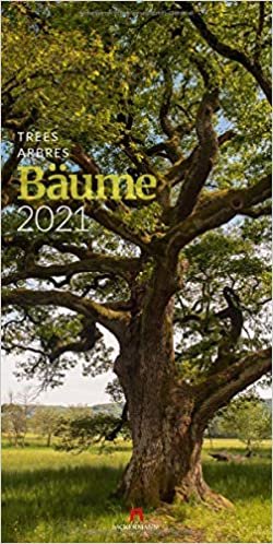 Bäume 2021