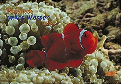 Paradiese unter Wasser - Kalender 2006 indir