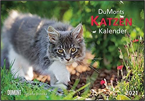 DUMONTS Katzenkalender 2021 - Broschürenkalender - Wandkalender - mit Schulferienterminen - Format 42 x 29 cm