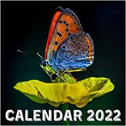 Calendar 2022: Butterflies September 2021 - December 2022 Monthly Planner Mini Calendar With Inspirational Quotes