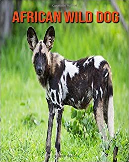 African Wild Dog: Amazing Pictures and Facts About African African Wild Dog indir
