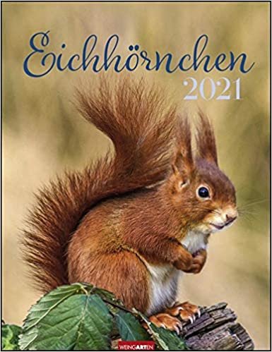 Eichhörnchen - Kalender 2021