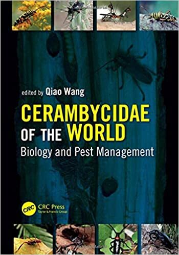 Cerambycidae of the World: Biology and Pest Management (Contemporary Topics in Entomology)